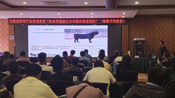 检验检疫技术中心是干嘛的？让我们一起走进这个神秘的技术堡垒。