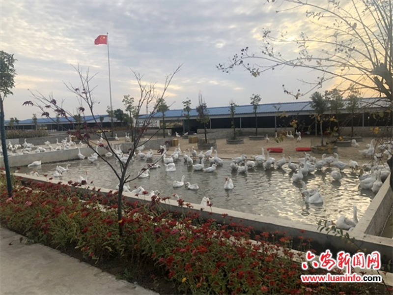 检验检疫技术中心是干嘛的？让我们一起揭开它的神秘面纱。