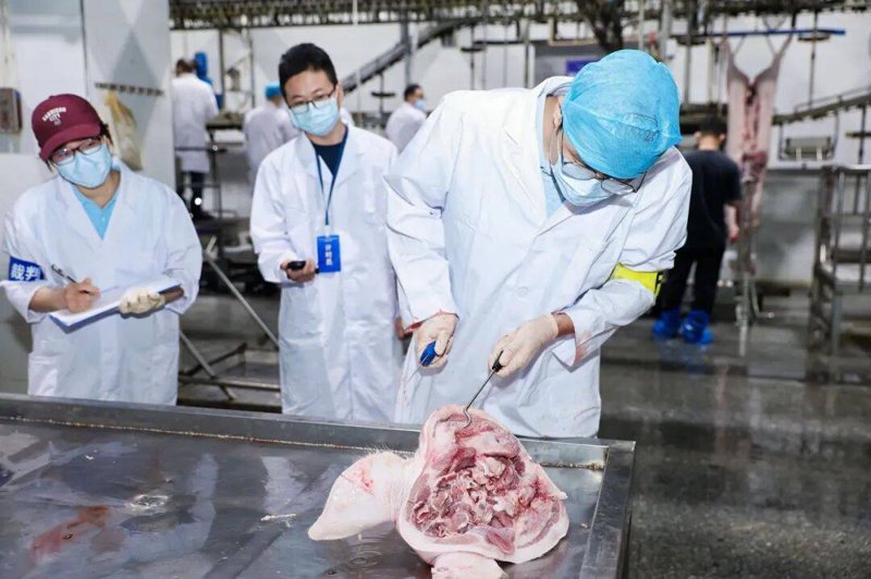 动物检疫