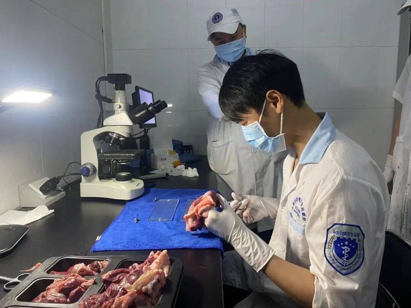 厦门出入境检验检疫局国际旅行卫生保健中心：您的健康出行顾问