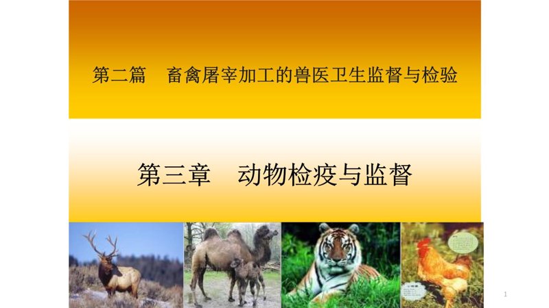 厦门出入境检验检疫局国际旅行卫生保健中心——您的健康出行保障
