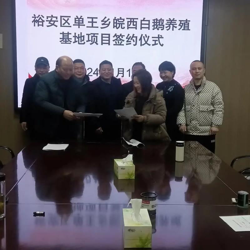 检验检疫技术中心改革：迈向高效监管的未来