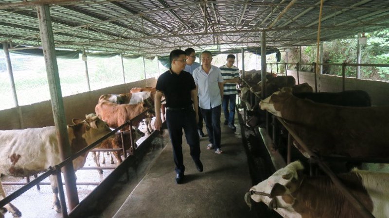 检验检疫技术中心改革的未来方向何在？