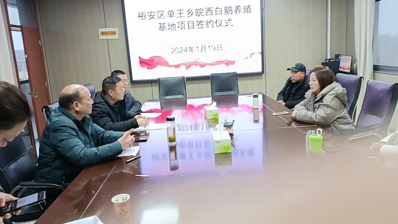 畜牧兽医科技信息：解读最新趋势与发展方向